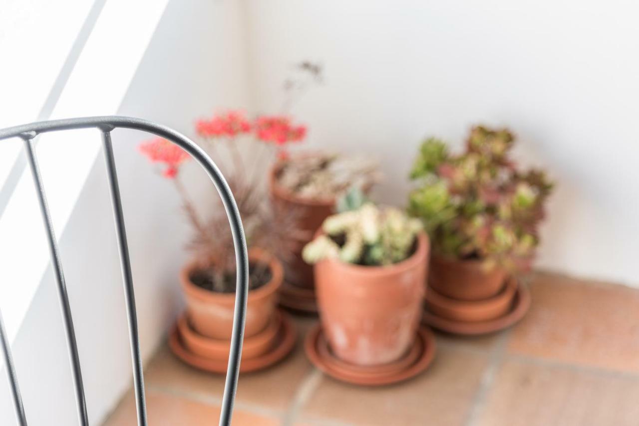 Guestready - Cactus Balcony - Free Private Parking Apartment Porto Exterior photo